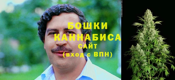 spice Белокуриха