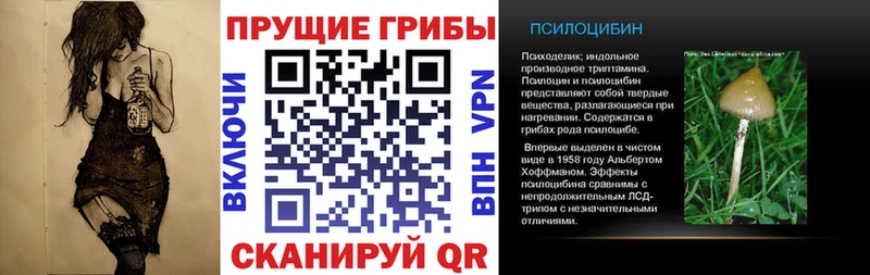 Галлюциногенные грибы Cubensis  Купино 